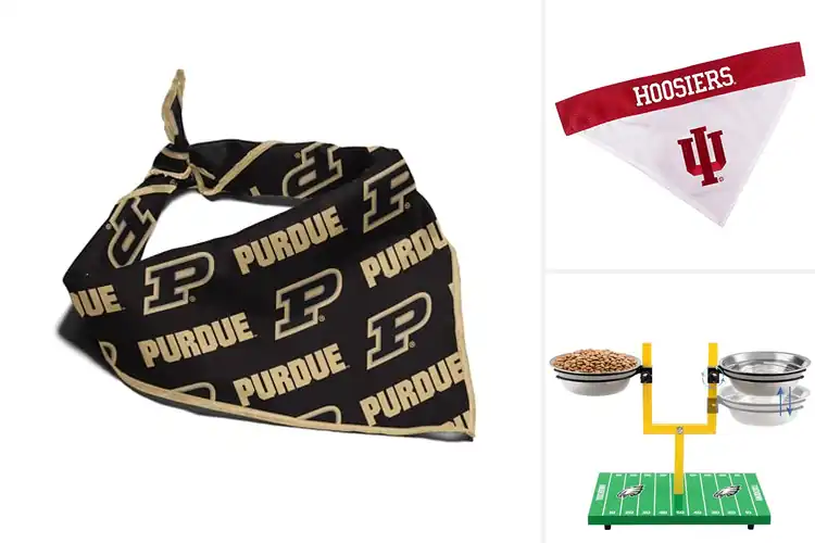 Detailed view of Best Game Day Pet Accessories