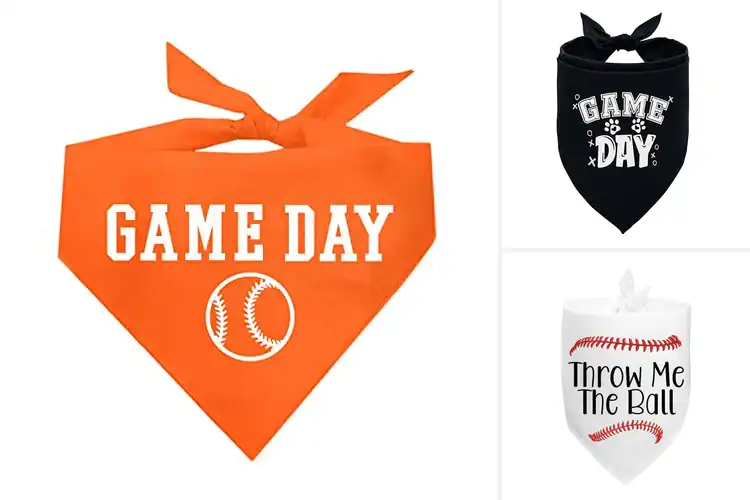 Detailed view of Best Game Day Pet Accessory Bandana