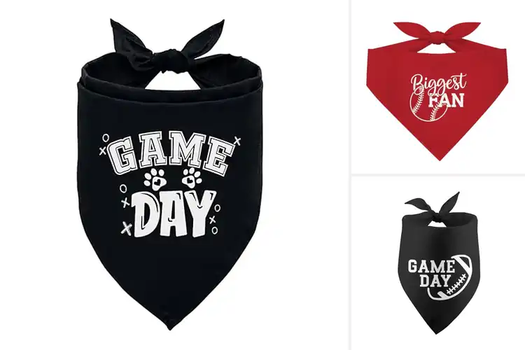 Detailed view of Best Game Day Pet Accessory