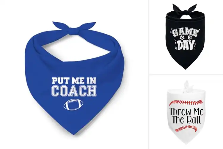 Detailed view of Best Game Day Pet Bandana