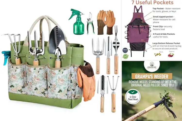Detailed view of Best Gardening Gifts: 10 Thoughtful Picks for Garden Lovers