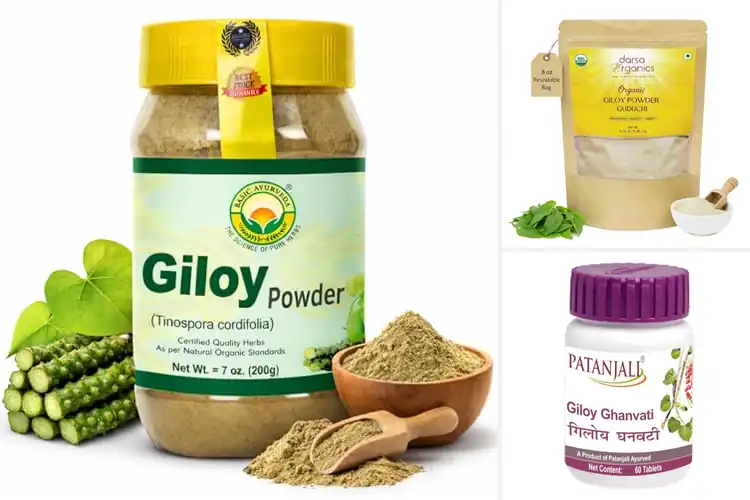 Detailed view of Best Giloy Powders For Immunity