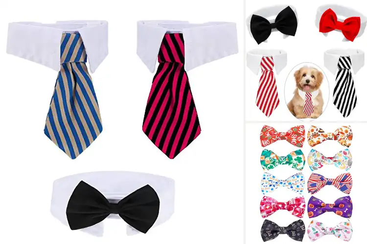 Detailed view of Best Grooming Bow Ties For Cats