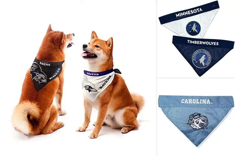 Detailed view of Best Home And Away Bandana Design