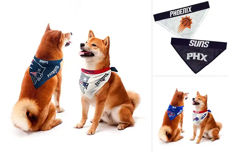 Detailed view of Best Home And Away Bandana