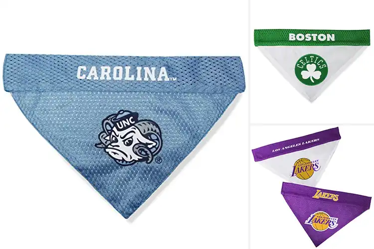 Detailed view of Best Home And Away Bandanas For Pets
