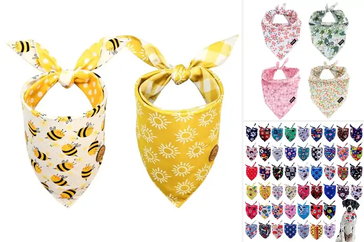 Detailed view of Best Large Dog Bandanas
