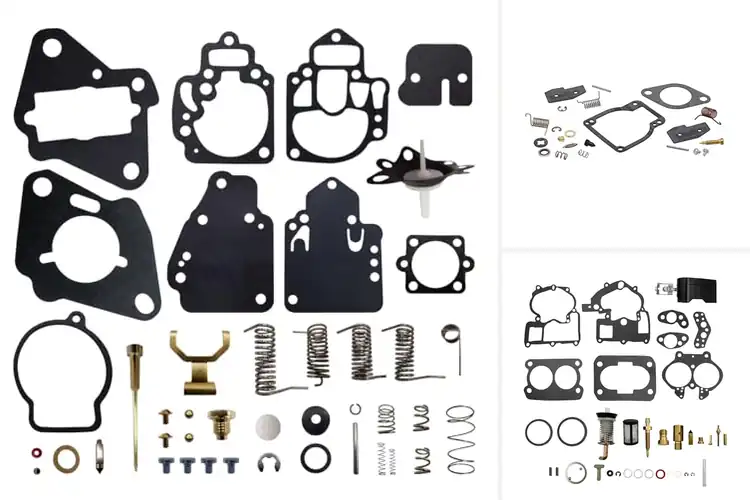 Detailed view of Best Mercury Carburetor Repair Kits
