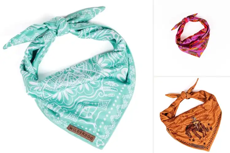 Detailed view of Best Mesh Bandana For Dogs: Top 10 Cool & Stylish Picks