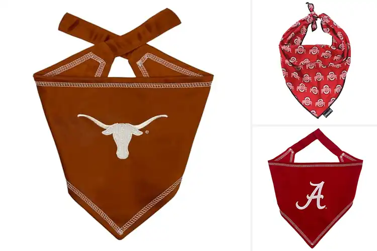 Detailed view of Best NCAA Dog Bandana: 10 Stylish Game Day Picks