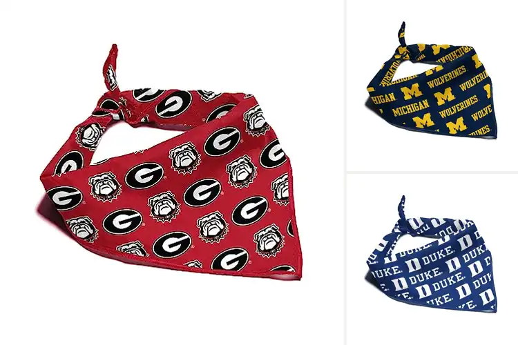 Detailed view of Best NCAA Licensed Bandana