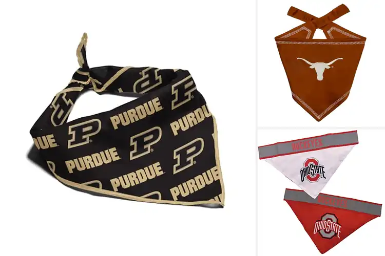 Detailed view of Best NCAA Licensed Bandanas for Dogs – Game Day Spirit