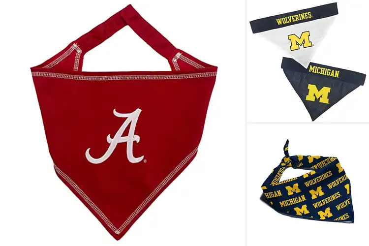 Detailed view of Best NCAA Licensed Pet Bandana