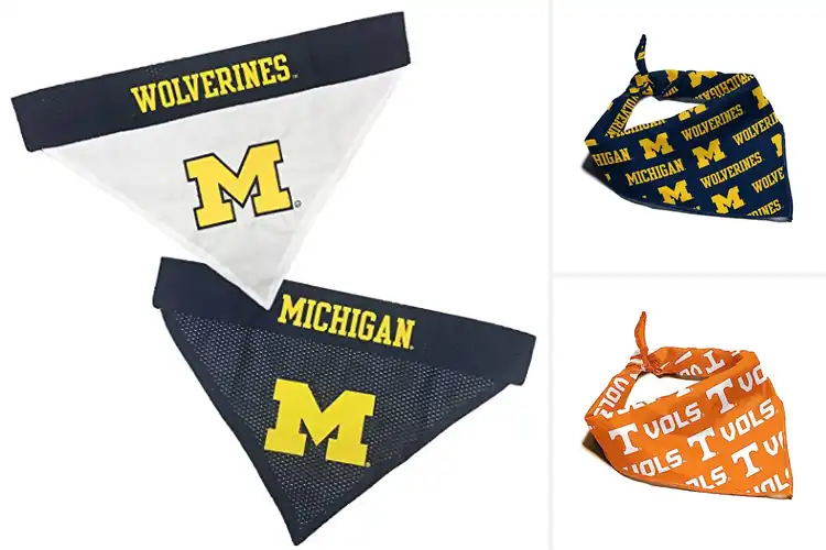 Detailed view of Best NCAA Officially Licensed Team Bandana