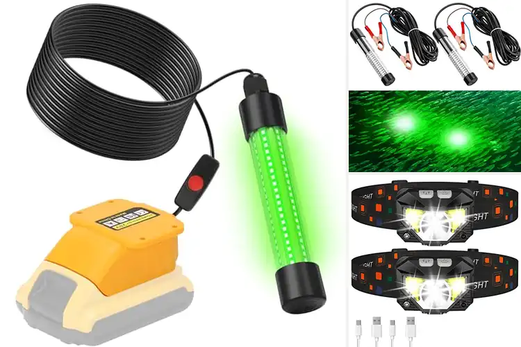Detailed view of Best Night Fishing Lights