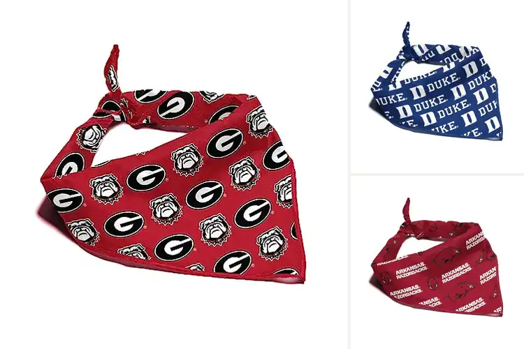 Detailed view of Best Officially Licensed Team Bandana