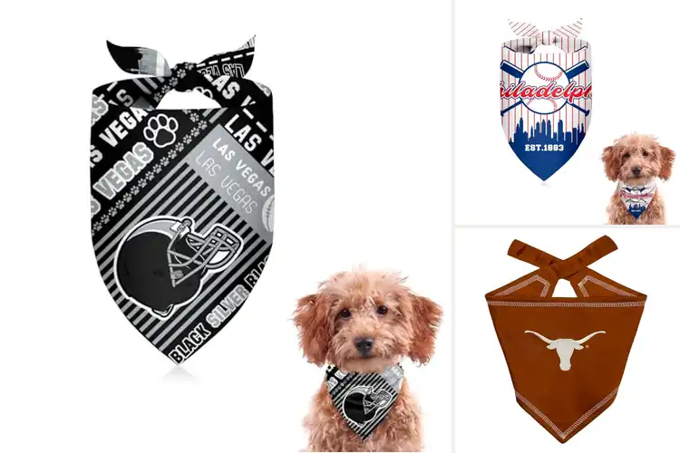 Detailed view of Best Party And Tailgate Pet Accessory