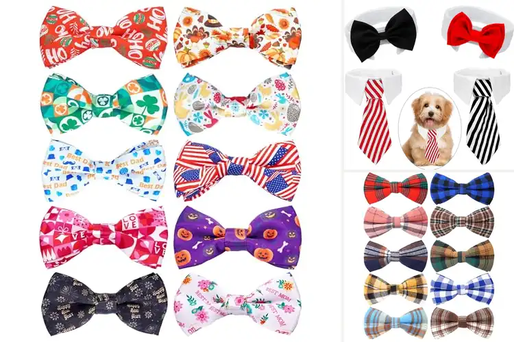 Detailed view of Best Party And Wedding Bow Ties For Pets