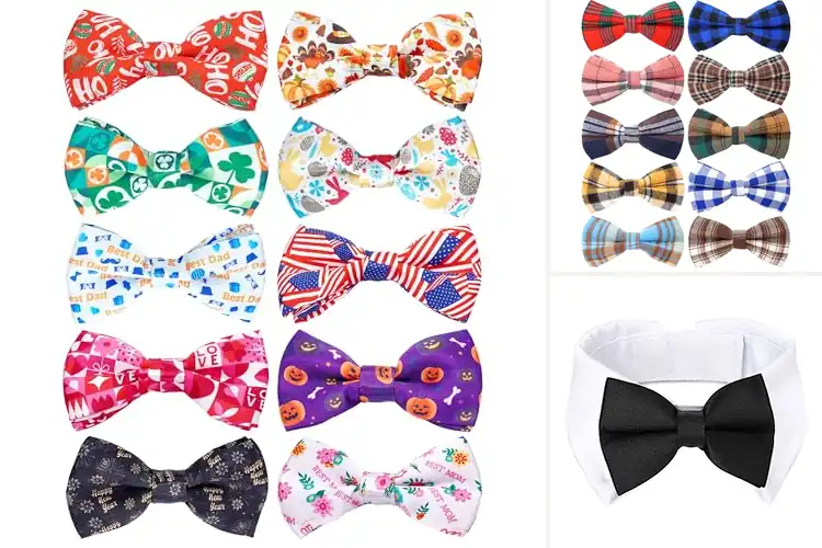Detailed view of Best Party And Wedding Pet Bow Ties