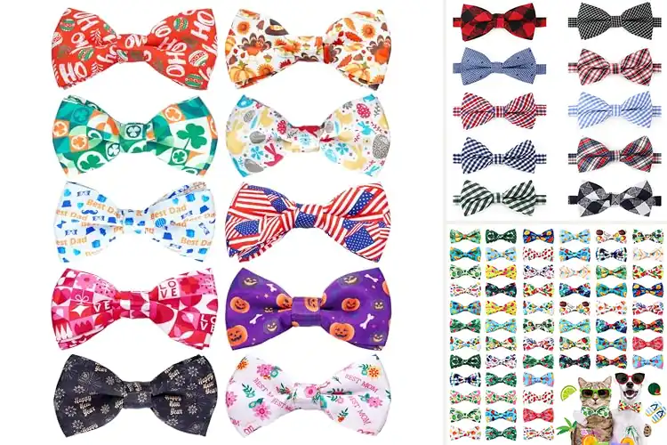 Detailed view of Best Party Bow Ties For Pets