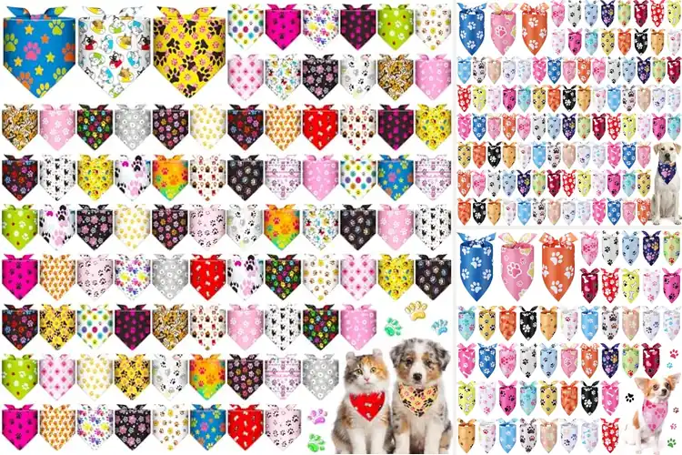 Detailed view of Best Party Pet Bandanas: 10 Stylish Celebration Essentials