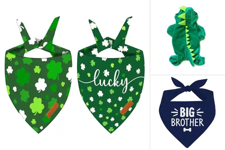 Detailed view of Best Party Pet Wear: Make Your Furry Star Shine