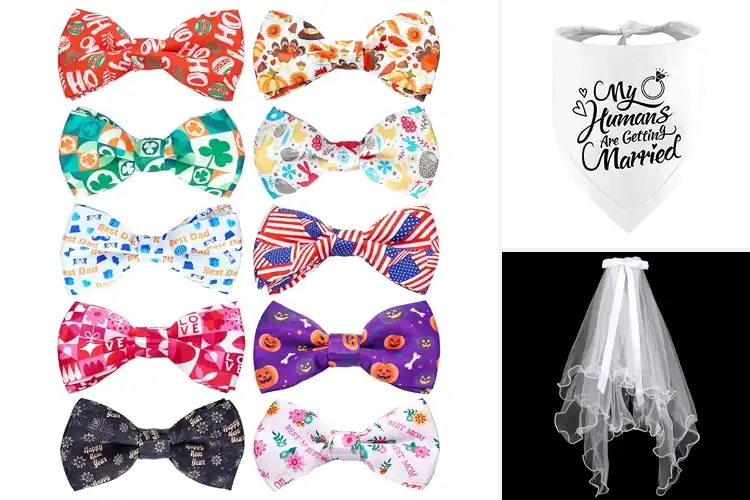 Detailed view of Best Party Wedding Pet Accessories