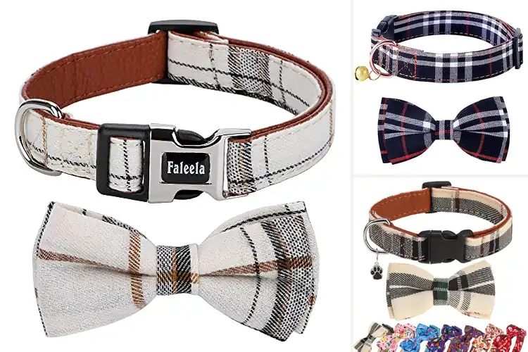 Detailed view of Best Pet Bow Tie Collars