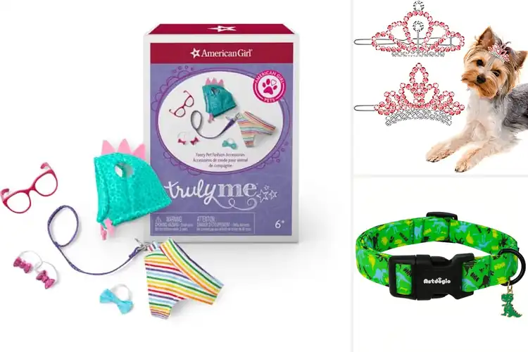 Detailed view of Best Pet Fashion Accessories