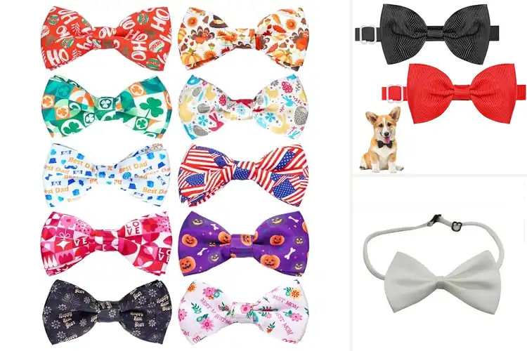 Detailed view of Best Pet Fashion Bow Ties For Parties And Weddings