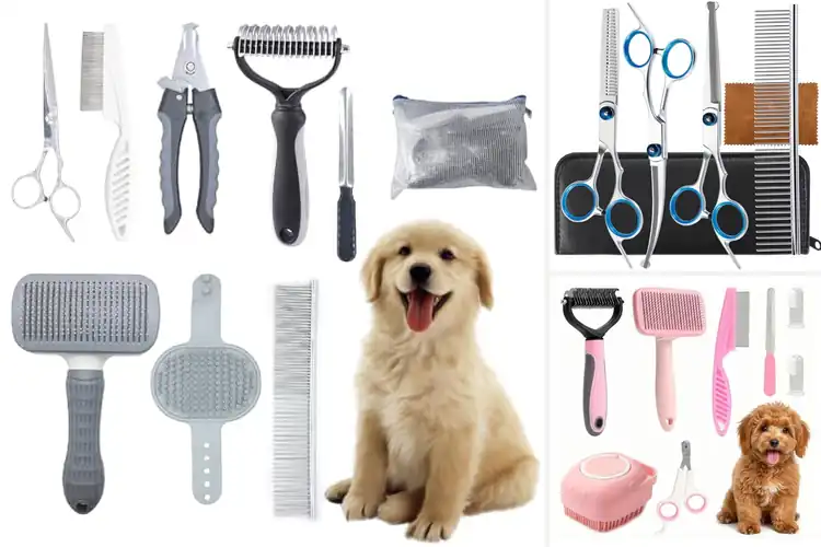 Detailed view of Best Pet Grooming Accessories Set