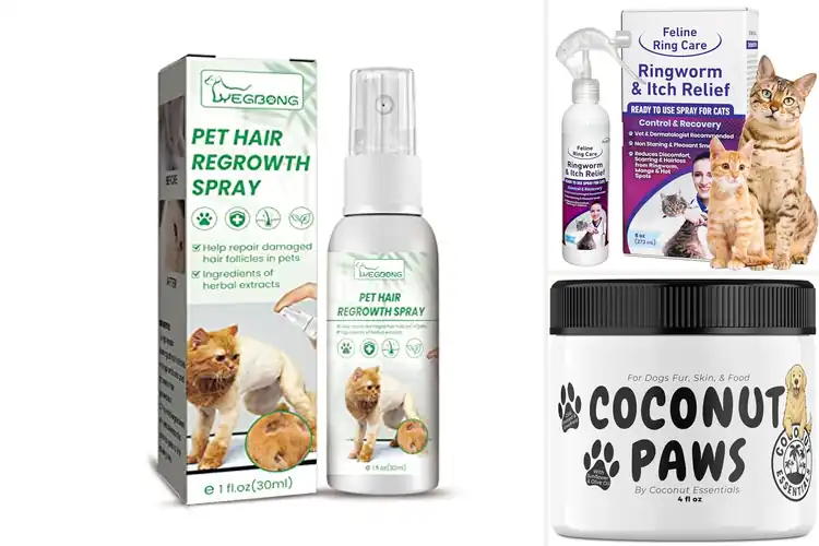 Detailed view of Best Pet Hair Loss Solutions