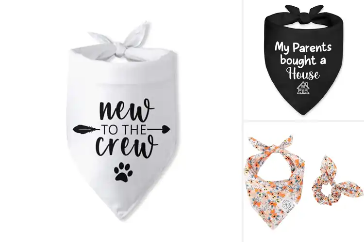 Detailed view of Best Pet Owner Gift Bandana