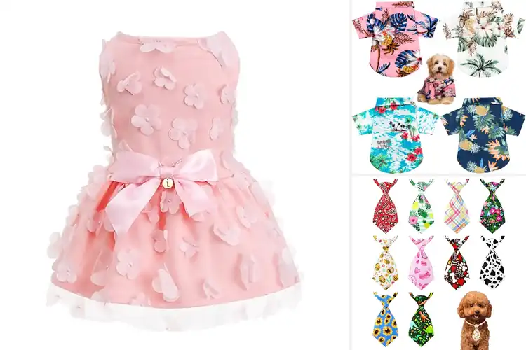 Detailed view of Best Pet Party Wear