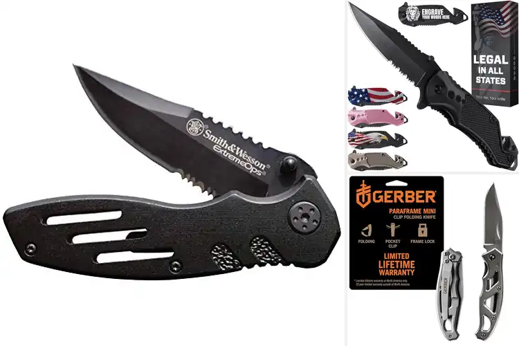 Detailed view of Best Pocket Knives With Clips: Top Picks for Everyday Carry