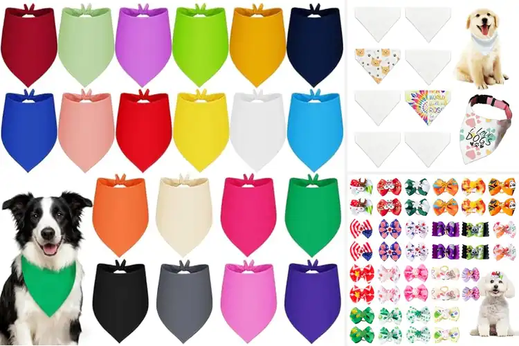 Detailed view of Best Polyester Pet Accessories