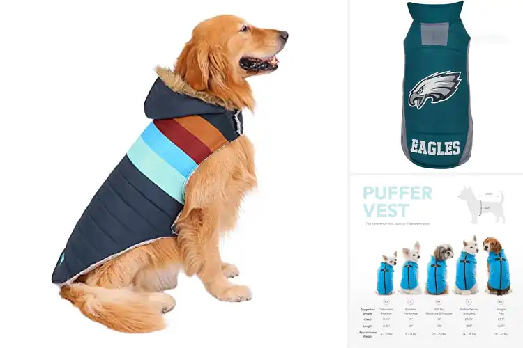 Detailed view of Best Puffer Dog Coats: Top Picks for Warmth & Comfort