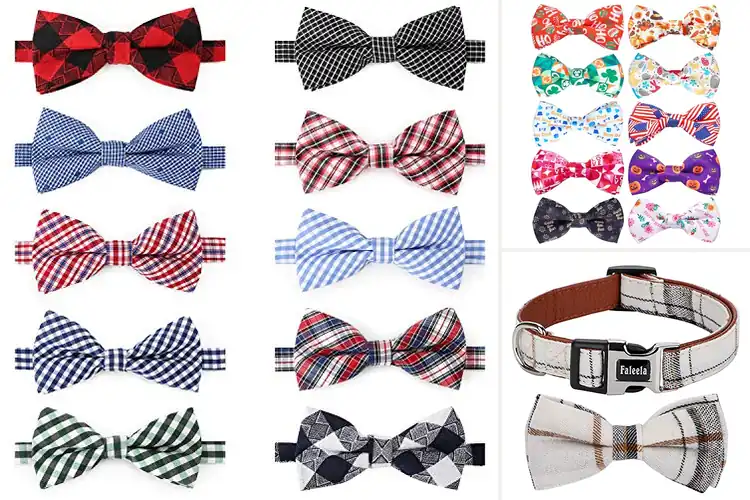 Detailed view of Best Puppy Bowties: 10 Stylish & Comfy Options for Your Pup
