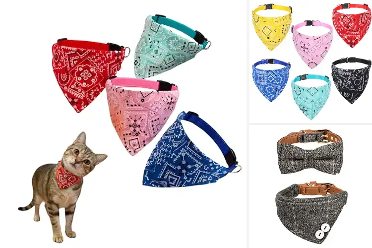 Detailed view of Best Quality Cat Bandanas: Top 10 Picks for Comfort & Safety