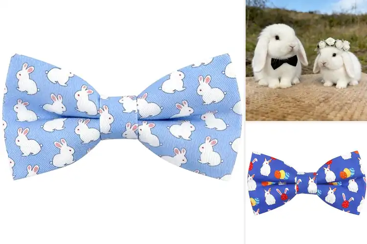 Detailed view of Best Rabbit Bow Ties: 10 Charming Picks for Pets & People