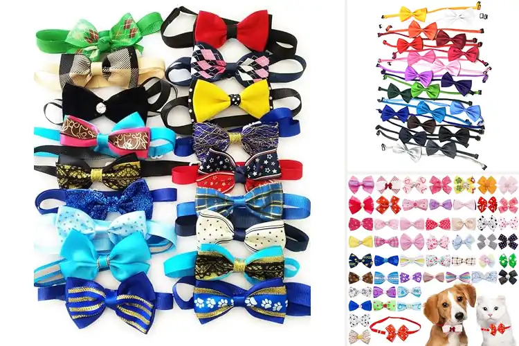 Detailed view of Best Random Color Bow Ties For Pets
