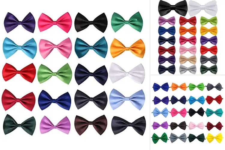 Detailed view of Best Random Color Bow Ties