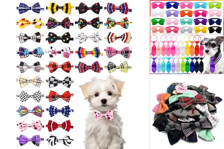 Detailed view of Best Random Color Pet Bow Ties