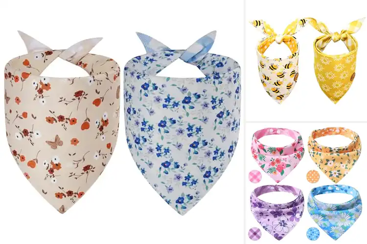 Detailed view of Best Reversible Bandanas for Dogs