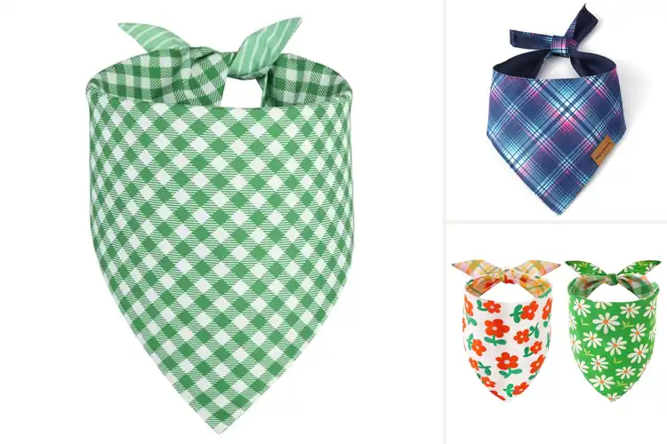 Detailed view of Best Reversible Dog Bandana