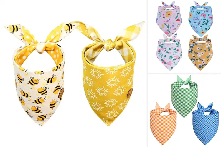 Detailed view of Best Reversible Dog Bandanas