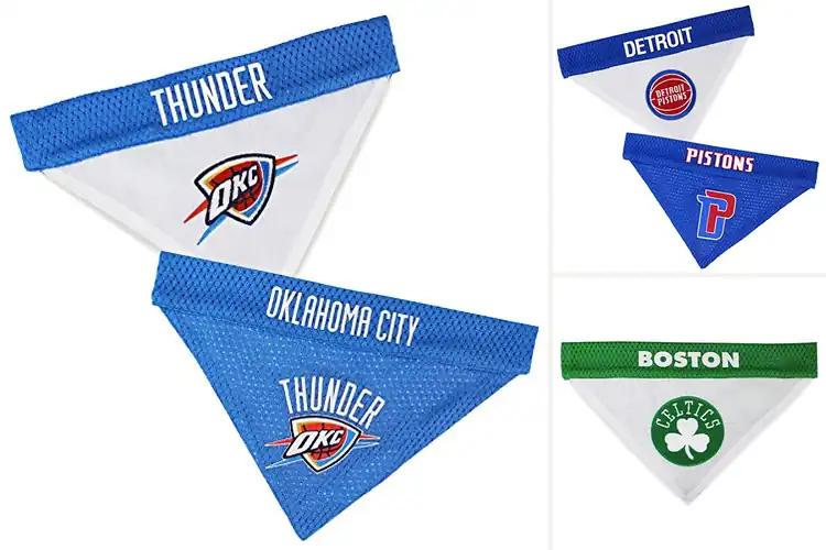 Detailed view of Best Reversible Pet Bandana Home Away