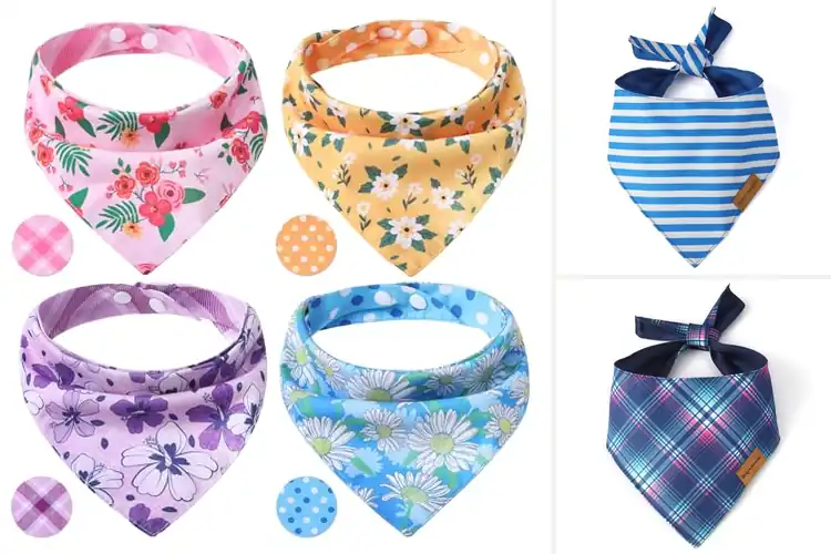 Detailed view of Best Reversible Pet Bandana