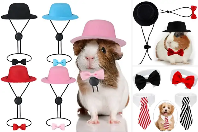 Detailed view of Best Small Animal Bow Ties For Pets