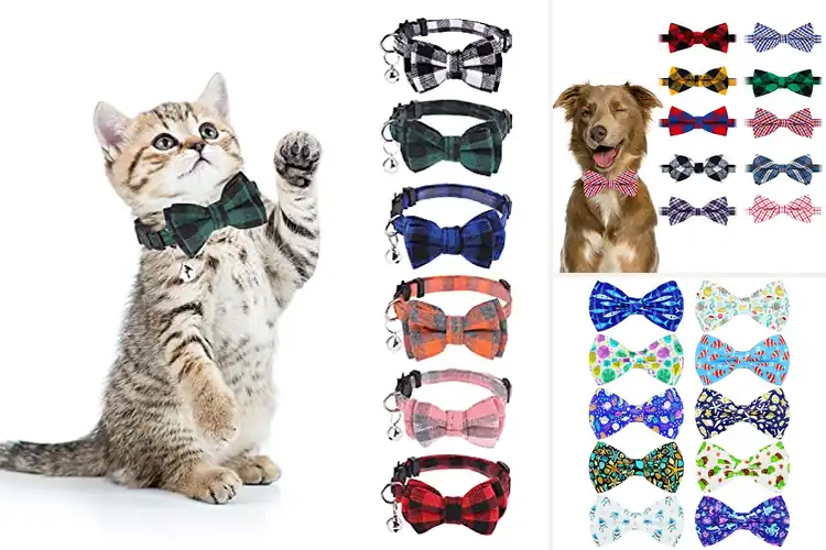 Detailed view of Best Small Animal Bow Ties